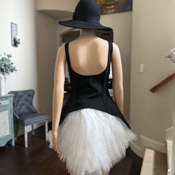 Zara Tulle Dress S - Picture 16 of 16